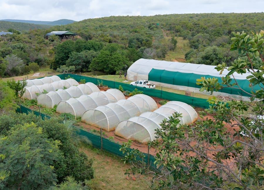 conservation-tunnels